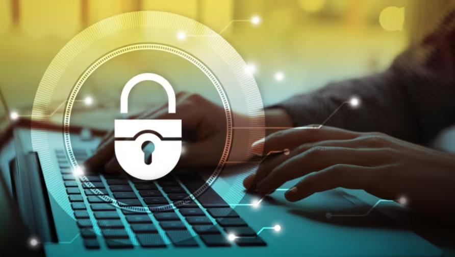 罗城软件开发：这些策略适用于所有本地企业吗？